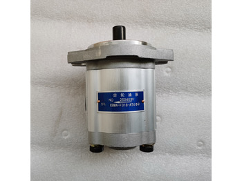 Hydraulic pump