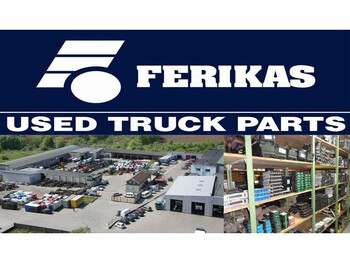 Suspension for Truck MAN tgx: picture 2