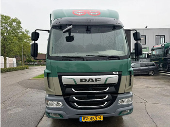 Curtain side truck DAF LF 260 4X2 16T DHOLLANDIA LOAD LIFT + TÜV TILL 0: picture 2