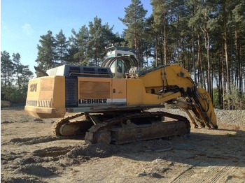 Crawler excavator Liebherr R 974 B HD: picture 2
