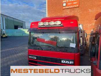 Cab DAF