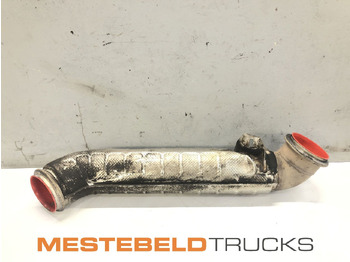 Muffler/ Exhaust system DAF