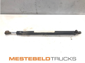 Hydraulic cylinder MAN