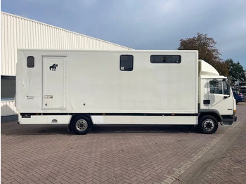 Horse truck DAF LF 45.130 CLEAN HORSES NL-TRUCK: picture 5