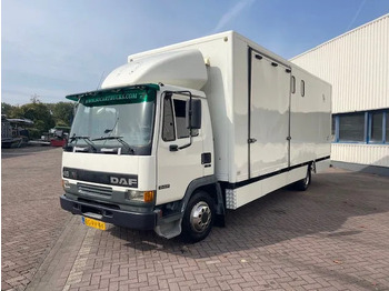 Horse truck DAF LF 45.130 CLEAN HORSES NL-TRUCK: picture 3