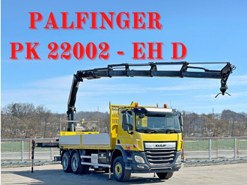 Crane truck DAF CF 450