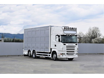 Scania R 500 TIERTRANSPORTWAGEN 7,10m / 4STOCK  leasing Scania R 500 TIERTRANSPORTWAGEN 7,10m / 4STOCK: picture 2