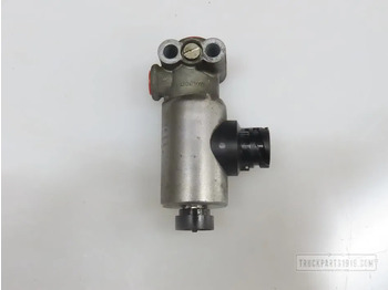 Valve IVECO