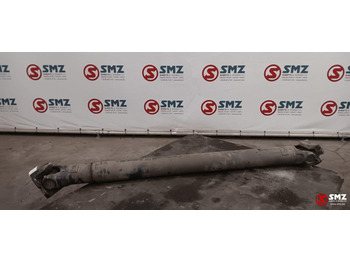 Drive shaft DAF