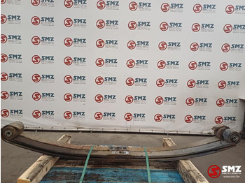 Steel suspension DAF