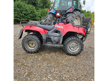 ATV/ Quad Suzuki Eiger 400: picture 3