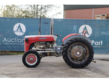 Farm tractor Massey Ferguson Ferguson Vintage Tractor: picture 2
