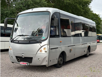 Minibus IVECO