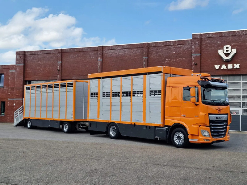 DAF XF 530 4x2 - Livestock Menke 2 deck + 2018 Menke trailer - Water + Ventilation - Lifting roof - Livestock truck: picture 1 DAF XF 530 4x2 - Livestock Menke 2 deck + 2018 Menke trailer - Water + Ventilation - Lifting roof - Livestock truck: picture 1
