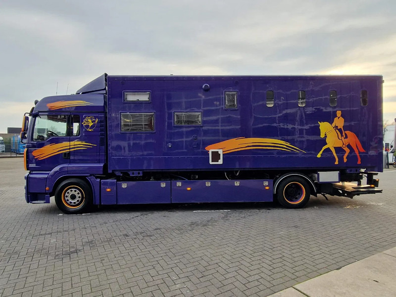 MAN TGA 18.360 4x2 - Horse truck + full camper - 4 seats - Loadramp - Automatic gearbox - Horse truck: picture 5 MAN TGA 18.360 4x2 - Horse truck + full camper - 4 seats - Loadramp - Automatic gearbox - Horse truck: picture 5