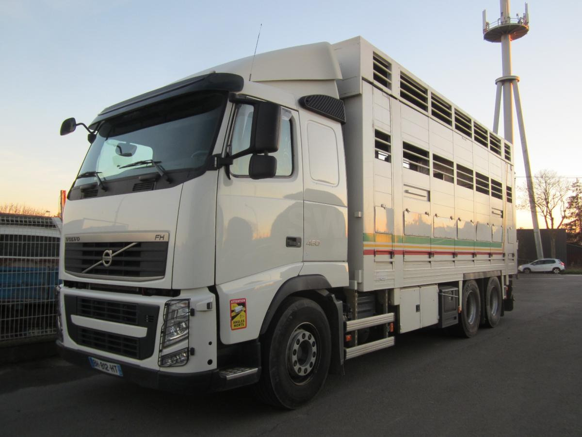 Volvo FH 460 - Livestock truck: picture 1 Volvo FH 460 - Livestock truck: picture 1