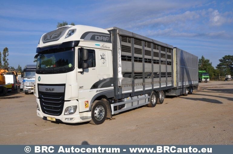 DAF DAF Krone XF 460 FAR XF 460 FAR - Horse truck: picture 1 DAF DAF Krone XF 460 FAR XF 460 FAR - Horse truck: picture 1