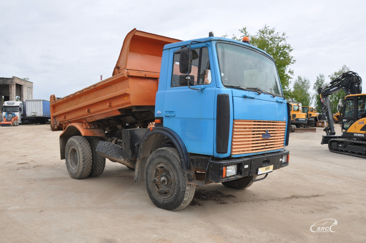 MAZ 5551 - Tipper: picture 2 MAZ 5551 - Tipper: picture 2