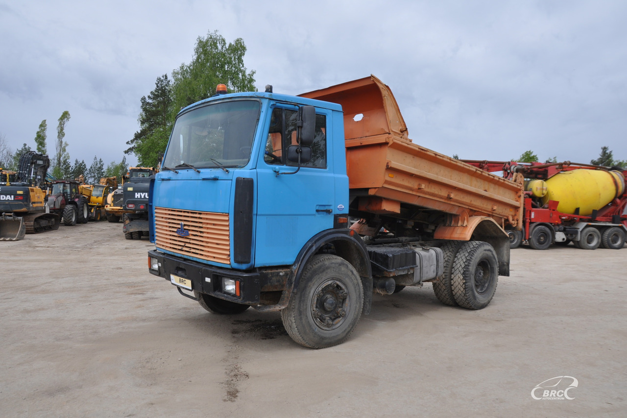 MAZ 5551 - Tipper: picture 1 MAZ 5551 - Tipper: picture 1