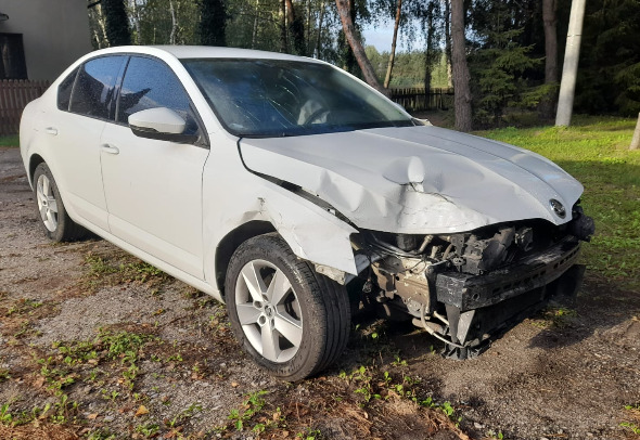 Skoda Octavia - Car: picture 1 Skoda Octavia - Car: picture 1