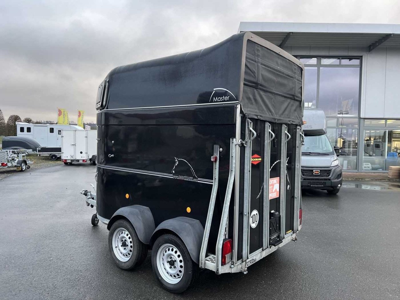 BOECKMANN Master S - WCF ALB Pferdeanhänger - Horse trailer: picture 4 BOECKMANN Master S - WCF ALB Pferdeanhänger - Horse trailer: picture 4