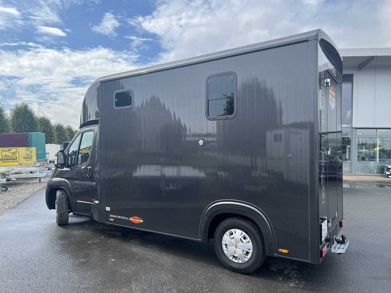 Fiat Böckmann Compact Basic LKW - Horse truck: picture 4 Fiat Böckmann Compact Basic LKW - Horse truck: picture 4
