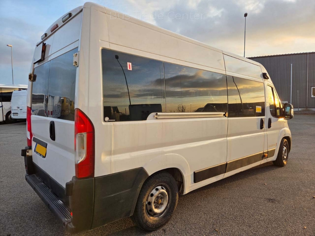 FIAT Ducato - Minibus, Passenger van: picture 2 FIAT Ducato - Minibus, Passenger van: picture 2