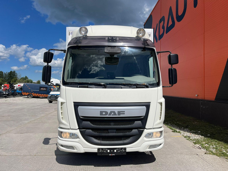 DAF LF 220 4x2 BOX L=6283 mm - Box truck: picture 3 DAF LF 220 4x2 BOX L=6283 mm - Box truck: picture 3