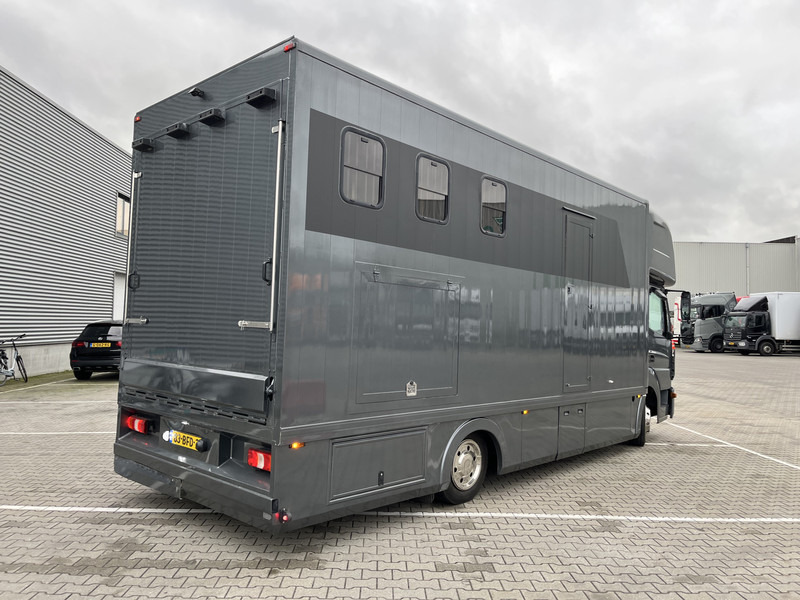 Mercedes-Benz Atego 816 / Horse Truck - 3 Horses / Camper / NL Truck - Horse trailer: picture 2 Mercedes-Benz Atego 816 / Horse Truck - 3 Horses / Camper / NL Truck - Horse trailer: picture 2