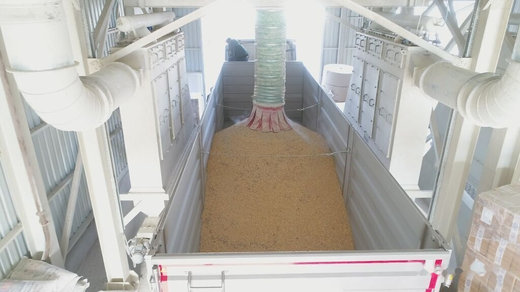 New Tipper semi-trailer for transportation of bulk materials Fesan DANGAL ZERNOVOZ GRAIN HARDOX REAR TIPPER: picture 7