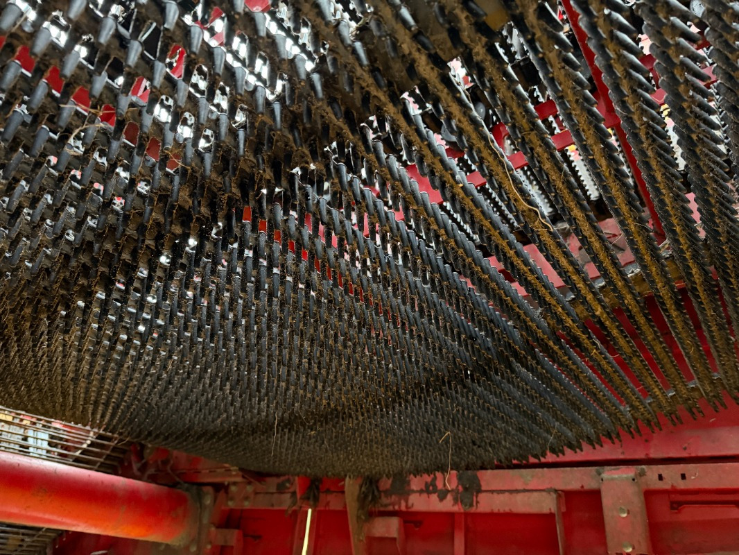 Harvester Grimme EVO 280 ClodSep: picture 9