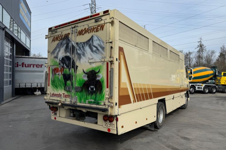 DAF CF410 4x2 - Horse truck: picture 5 DAF CF410 4x2 - Horse truck: picture 5