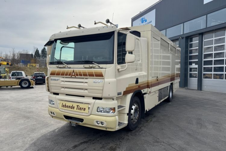 DAF CF410 4x2 - Horse truck: picture 1 DAF CF410 4x2 - Horse truck: picture 1