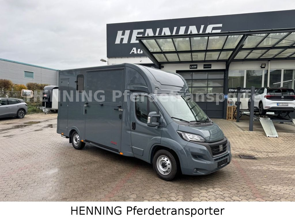 Fiat Ducato *NEUWAGEN* ca.1100 kg Nutzlast - Horse truck: picture 1 Fiat Ducato *NEUWAGEN* ca.1100 kg Nutzlast - Horse truck: picture 1