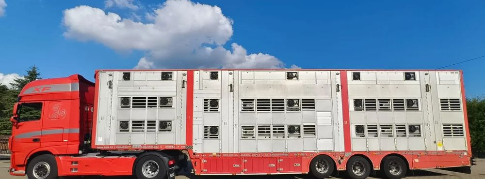 Pezzaioli 2017 / 3 POZIOMY / TRANSPORT ZWIERZĄT / HYDRAULIKA / STEROWANIE PILOTEM/ PODNOSZONY DACH / - Livestock semi-trailer: picture 2 Pezzaioli 2017 / 3 POZIOMY / TRANSPORT ZWIERZĄT / HYDRAULIKA / STEROWANIE PILOTEM/ PODNOSZONY DACH / - Livestock semi-trailer: picture 2