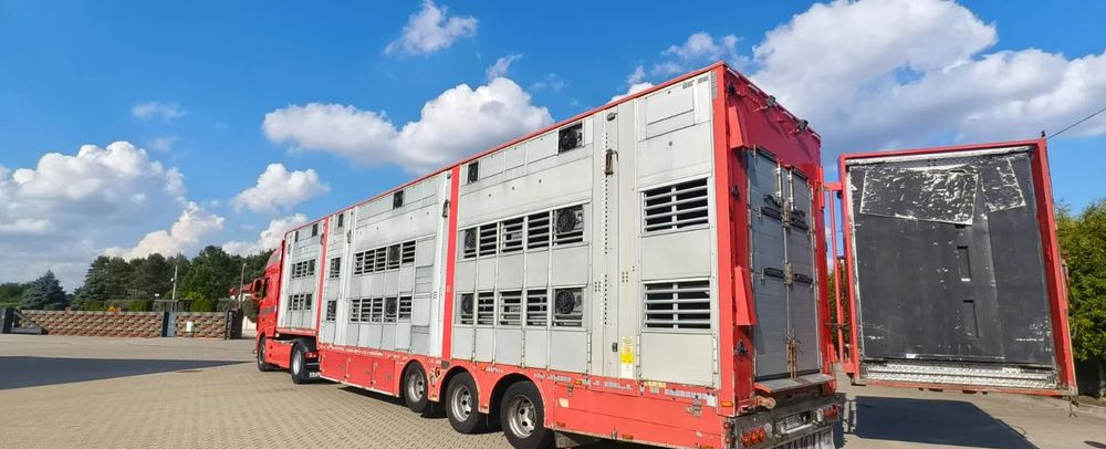 Pezzaioli 2017 / 3 POZIOMY / TRANSPORT ZWIERZĄT / HYDRAULIKA / STEROWANIE PILOTEM/ PODNOSZONY DACH / - Livestock semi-trailer: picture 1 Pezzaioli 2017 / 3 POZIOMY / TRANSPORT ZWIERZĄT / HYDRAULIKA / STEROWANIE PILOTEM/ PODNOSZONY DACH / - Livestock semi-trailer: picture 1