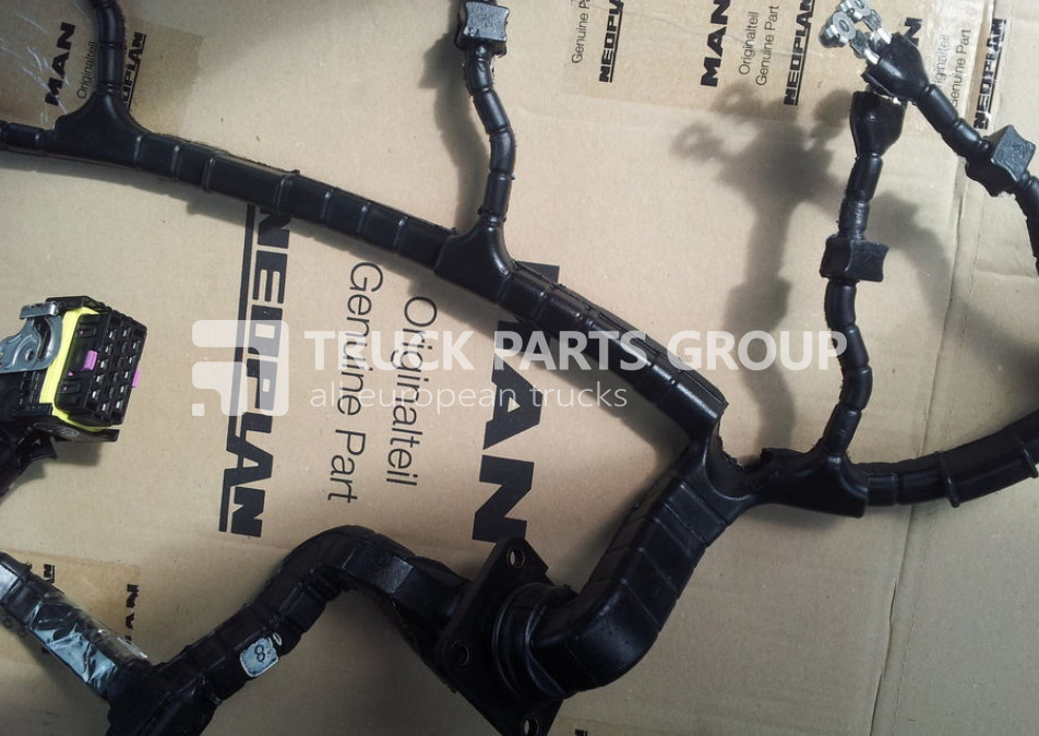 MAN TGA, TGX, TGS, TGM, TGL, EURO3, EURO4, EURO5, EURO6 cable harnes wiring - Cables/ Wire harness for Truck: picture 1 MAN TGA, TGX, TGS, TGM, TGL, EURO3, EURO4, EURO5, EURO6 cable harnes wiring - Cables/ Wire harness for Truck: picture 1