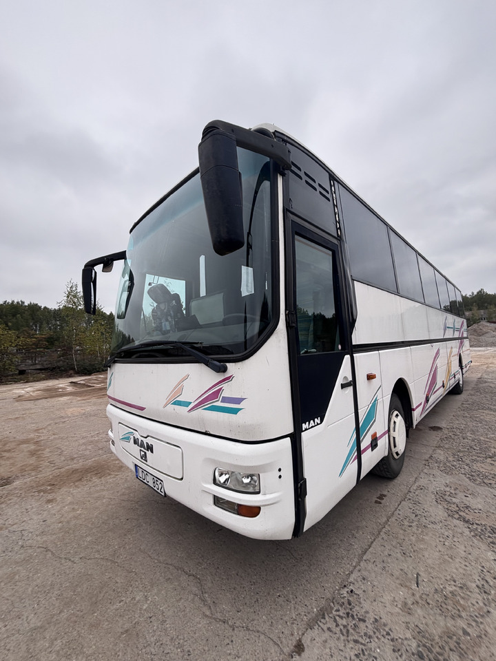 MAN - Coach: picture 1 MAN - Coach: picture 1