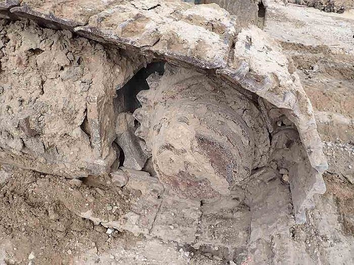 Drilling machine Casagrande B175XP: picture 23 Drilling machine Casagrande B175XP: picture 23