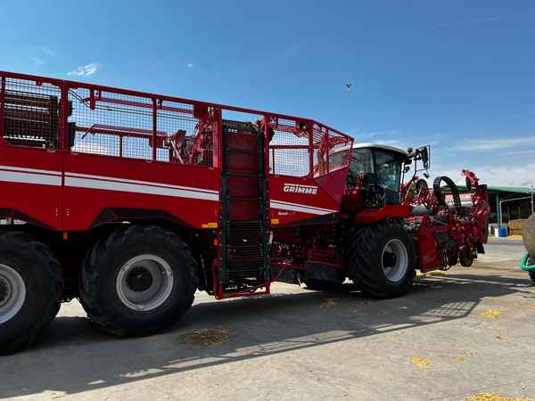 Grimme REXOR 6300 Platinum - Beet harvester: picture 1 Grimme REXOR 6300 Platinum - Beet harvester: picture 1