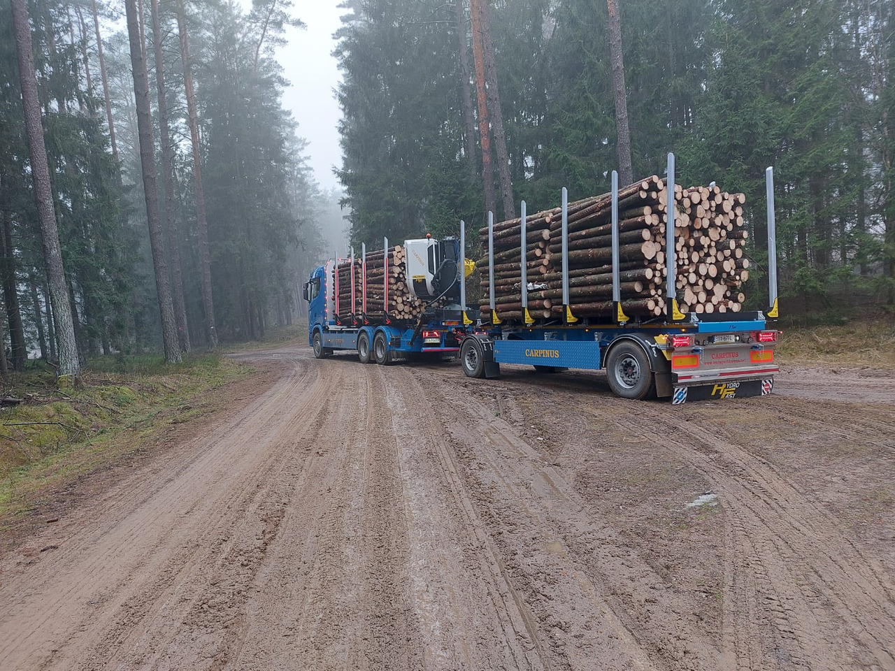 Hydrofast Przyczepa 2 osiowa do drewna stosowego HFP2/2-axle timber trailer HFP2 - Log trailer: picture 3 Hydrofast Przyczepa 2 osiowa do drewna stosowego HFP2/2-axle timber trailer HFP2 - Log trailer: picture 3