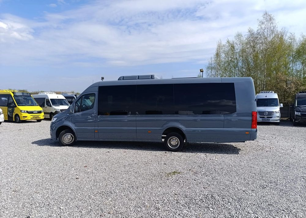 New Minibus, Passenger van Mercedes-Benz Spritner 519: picture 10