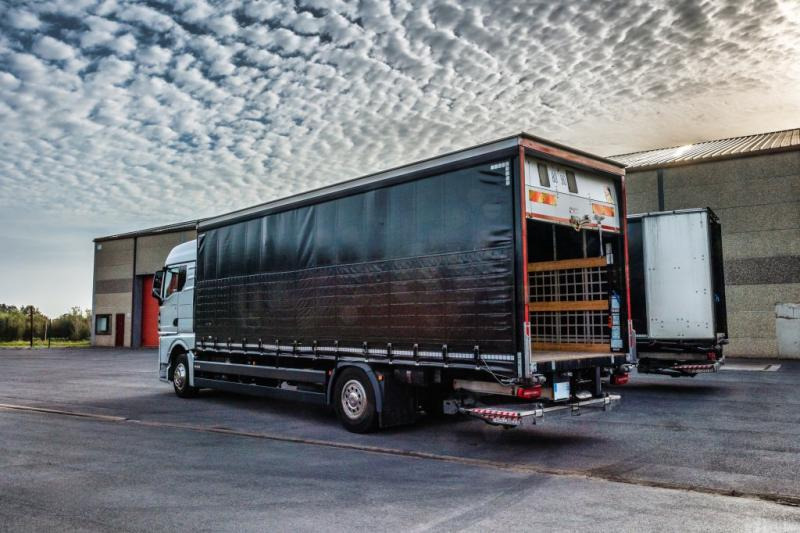 MAN TGX 18.400 XLX+HAYON - Curtain side truck: picture 4 MAN TGX 18.400 XLX+HAYON - Curtain side truck: picture 4