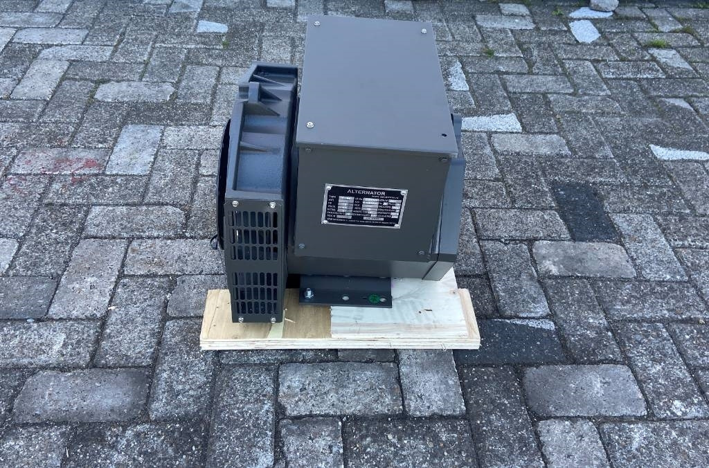 DPX SF-164C - 13 kVA Alternator - DPX-33801 - Generator set: picture 3 DPX SF-164C - 13 kVA Alternator - DPX-33801 - Generator set: picture 3