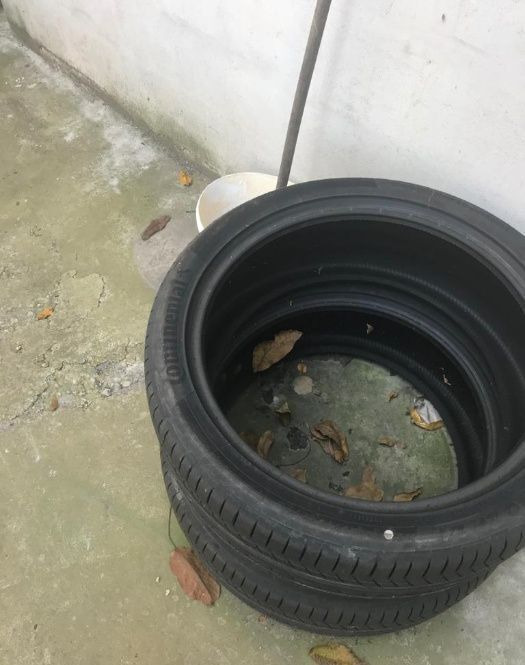 Anvelope Continental NOI ContisportContact 255 / 40 ZR 21 - Tire for Car: picture 1 Anvelope Continental NOI ContisportContact 255 / 40 ZR 21 - Tire for Car: picture 1