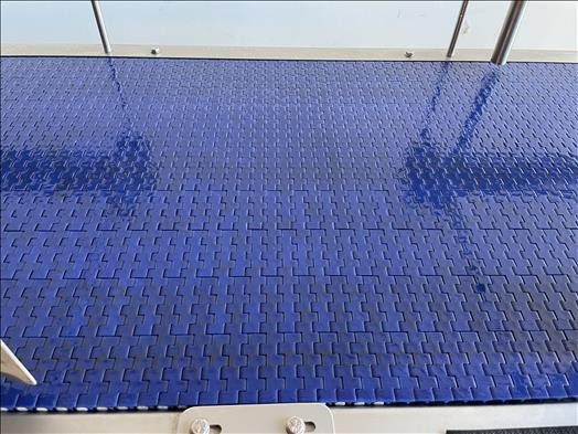 NNP Stainless conveyor - Conveyor: picture 5 NNP Stainless conveyor - Conveyor: picture 5
