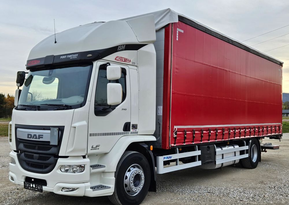 DAF LF 310/WINDA/FIRANKA/NOWE TURBO/NOWE SPRZĘGŁO/EURO 6/SPROWADZONY/20PALET/ŁADOWNOSC 10TON - Curtain side truck: picture 2 DAF LF 310/WINDA/FIRANKA/NOWE TURBO/NOWE SPRZĘGŁO/EURO 6/SPROWADZONY/20PALET/ŁADOWNOSC 10TON - Curtain side truck: picture 2
