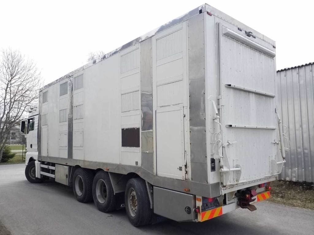 MAN TGX 35.540 8X4 TRIDEM ANIMAL - Livestock truck: picture 2 MAN TGX 35.540 8X4 TRIDEM ANIMAL - Livestock truck: picture 2