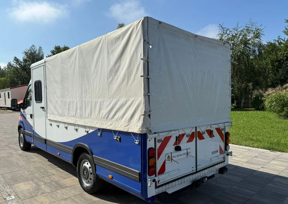 Renault Master - Combi van: picture 4 Renault Master - Combi van: picture 4