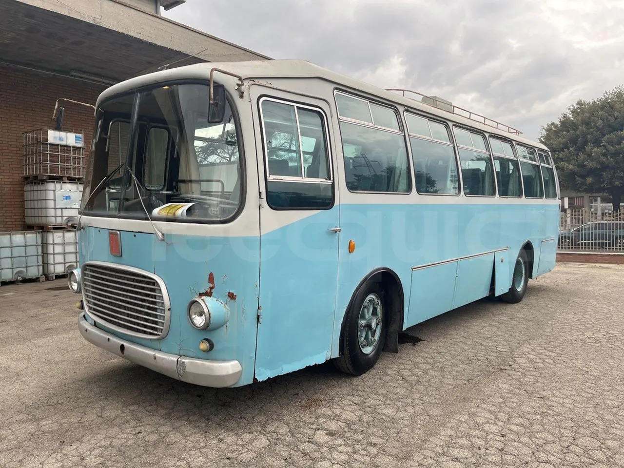 Fiat 309/1 - Coach: picture 4 Fiat 309/1 - Coach: picture 4